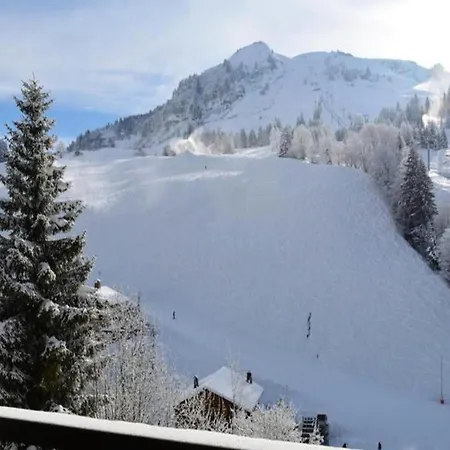 Planay Le Grand-Bornand